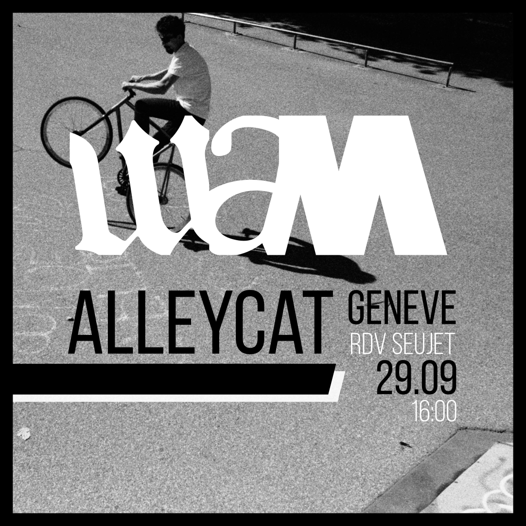 AlleycatV2_2